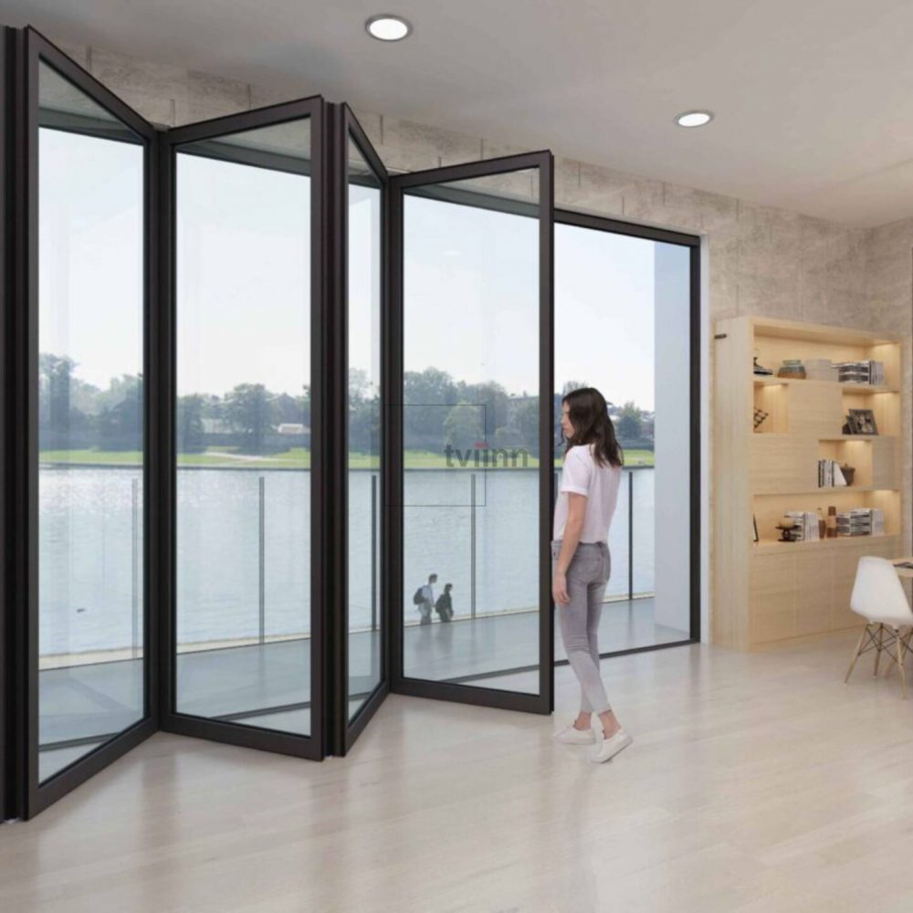 Folding Door